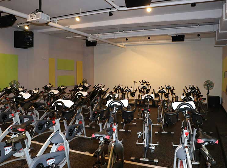 The CycleFit Arena
